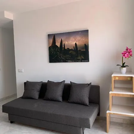 El Olivo House C San Isidro (Tenerife)